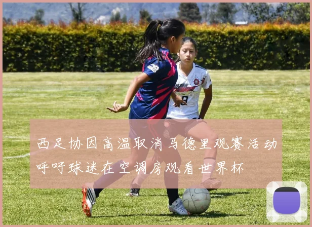 西足协因高温取消马德里观赛活动呼吁球迷在空调房观看世界杯