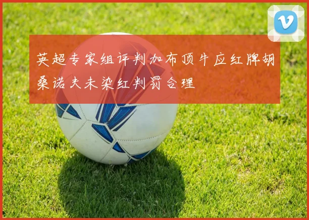 英超专家组评判加布顶牛应红牌胡桑诺夫未染红判罚合理
